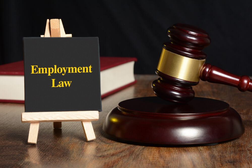 Employment Law Basics: A Complete Guide for Employees and Employers